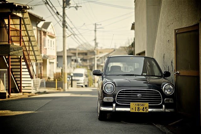 Neighbourhoods in Japanese elders' social lives