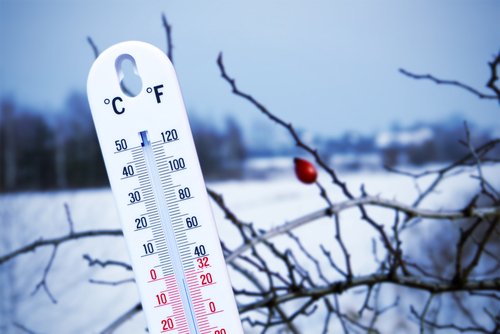 Winter - Cold