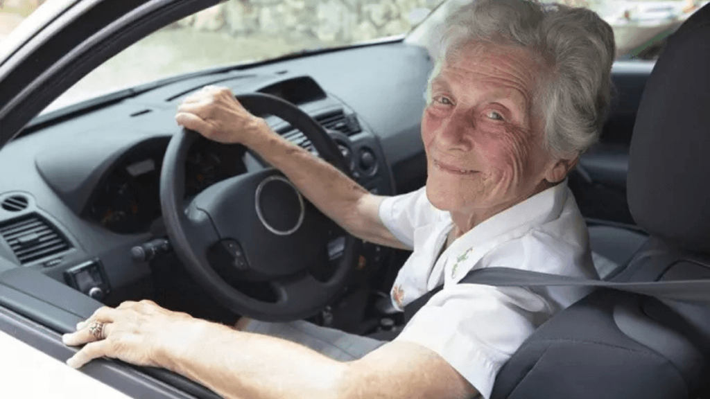 Withdrawal of driving licenses